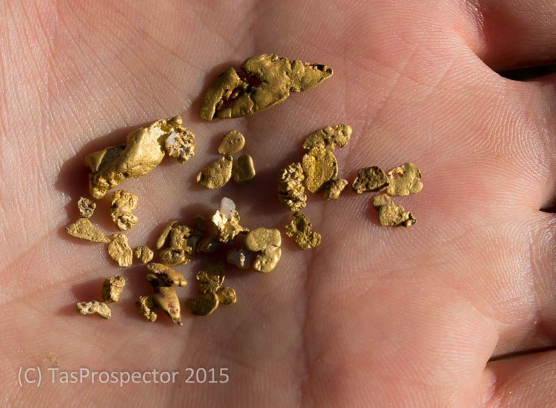Small nuggets of alluvial Tasmanian gold