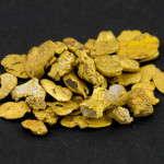 Some detected nuggets of Tasmanian gold