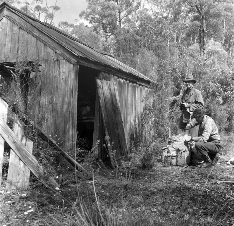 Resting at a hut, Jane River goldfield